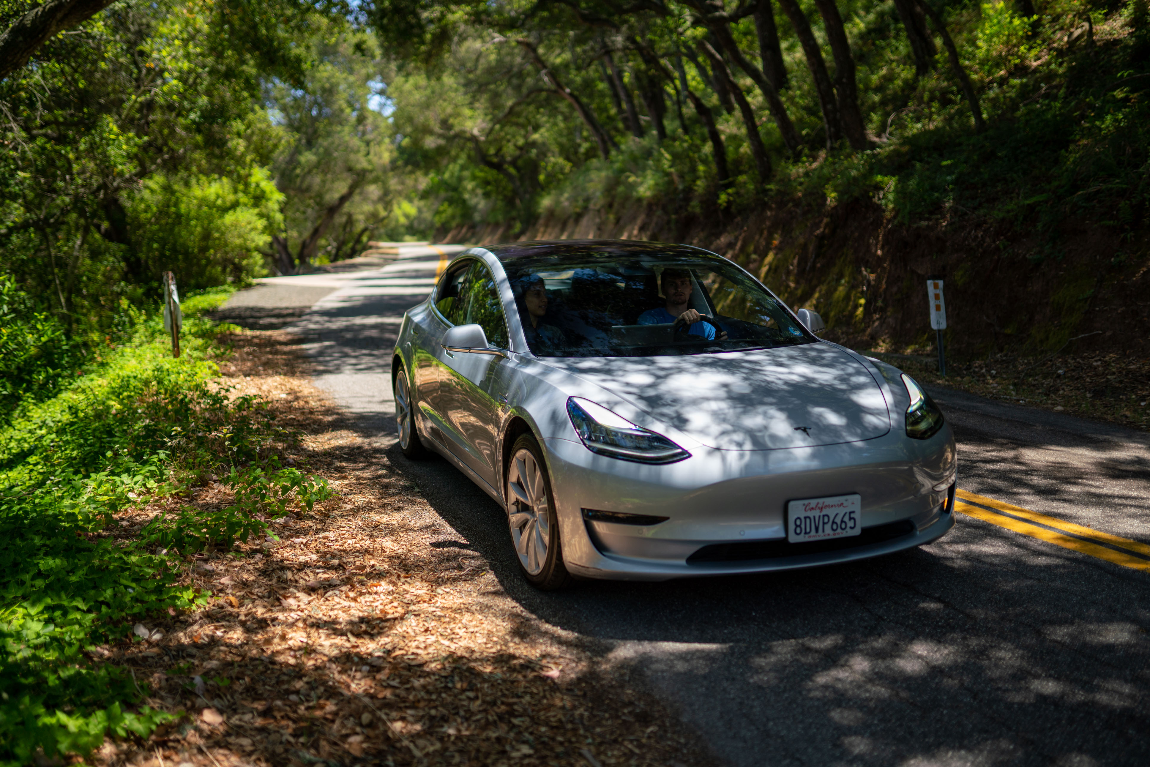A tesla.