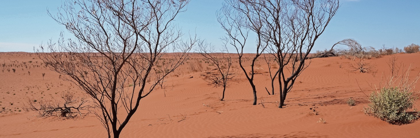 Cyber Resilience desert scene