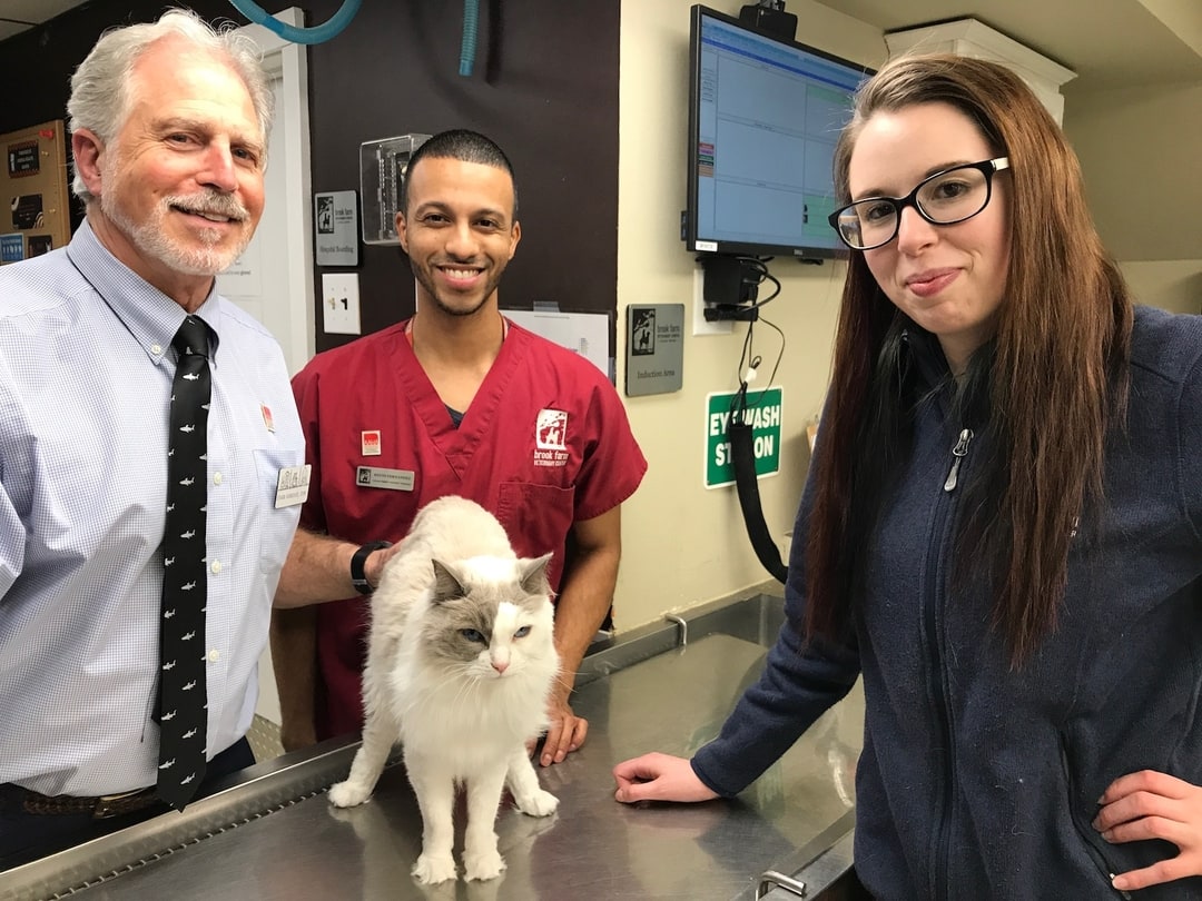 About Our Patterson Veterinary Center Learn More