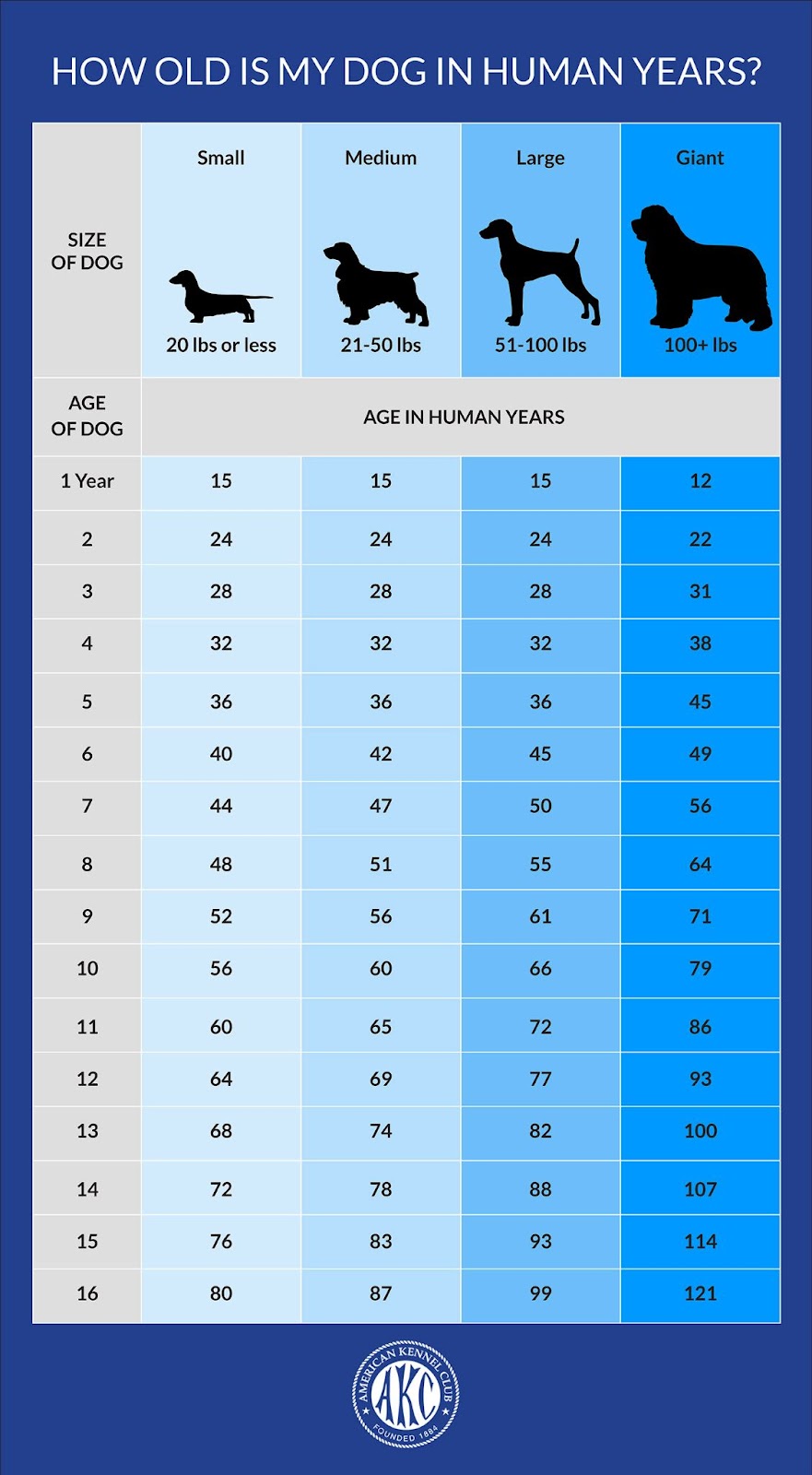 Human Years Vs Dog Years Calculate Your Pet s Age Today 