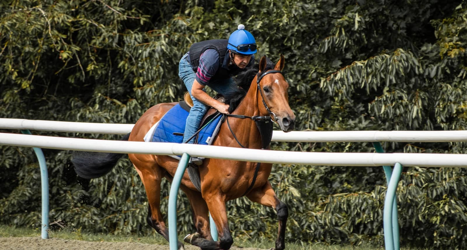 TJ Kent Horse Racing Trainer