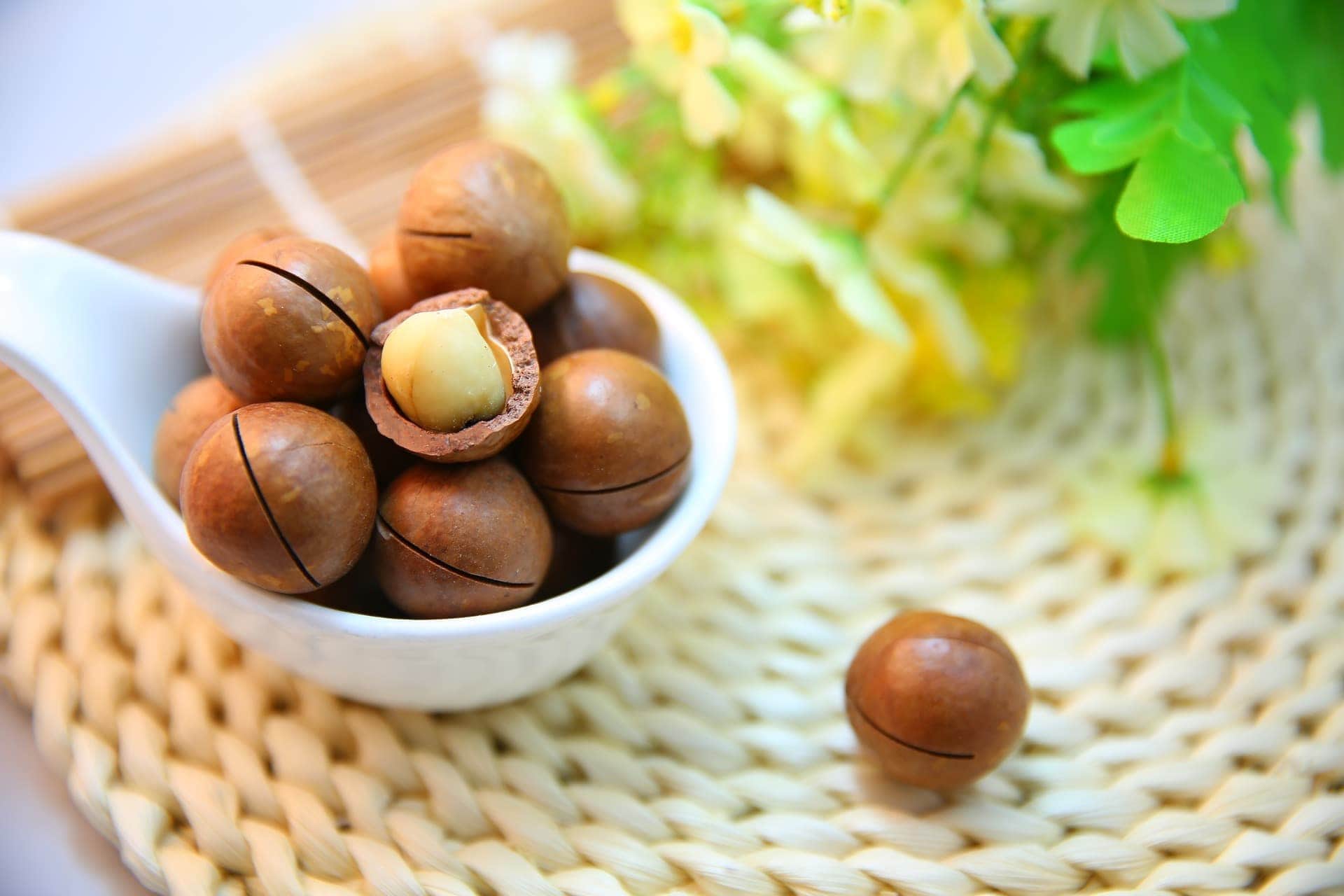 Macadamia Nuts In Shell