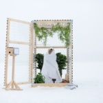Wooden box filled with plants and a blanket