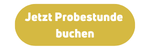 Jetzt Probestunde bei bidi buchen