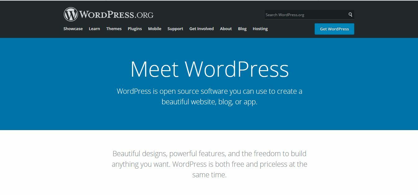 WordPress Website