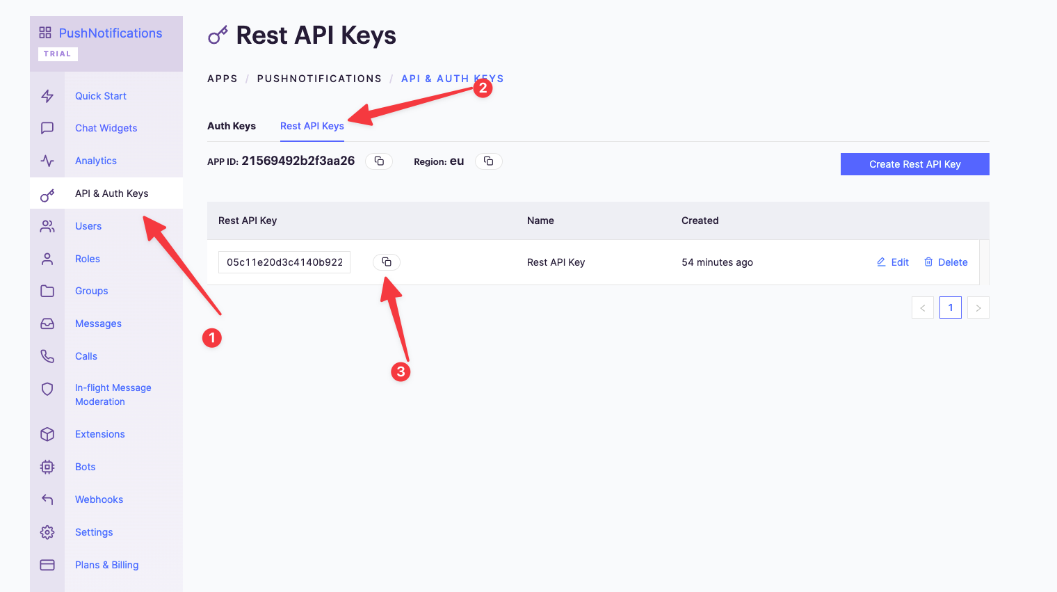 Getting the REST API keys