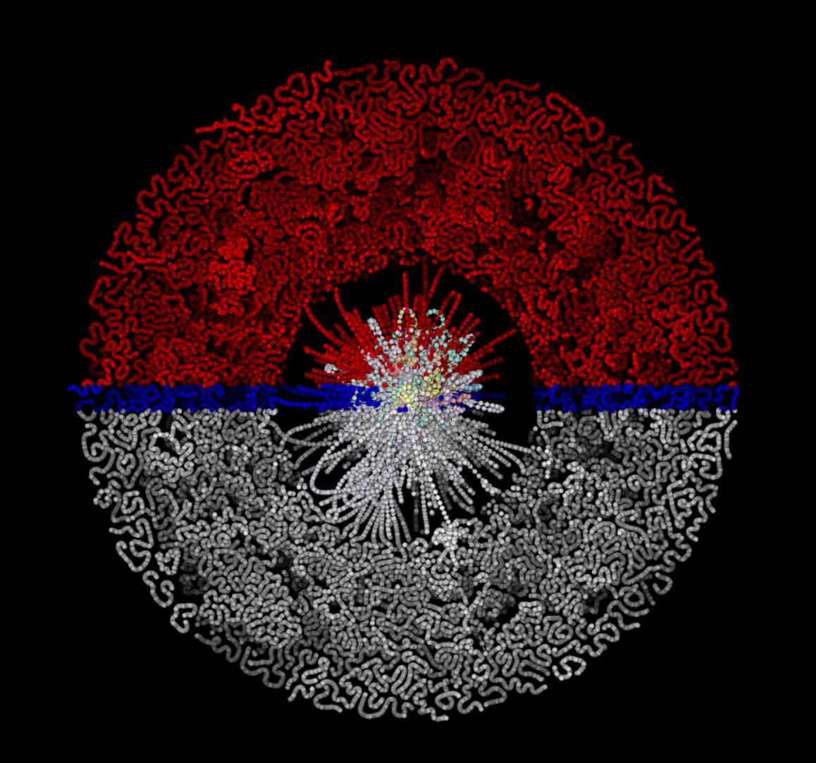 3D Pokemon network