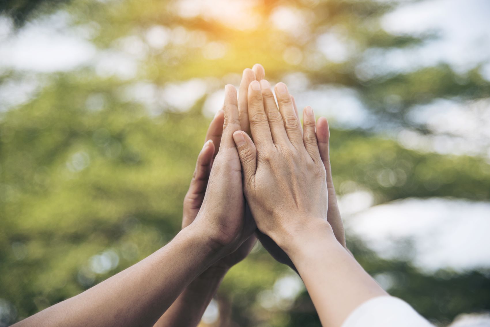 Car Dealership Ops Get Better When Departments Work Together