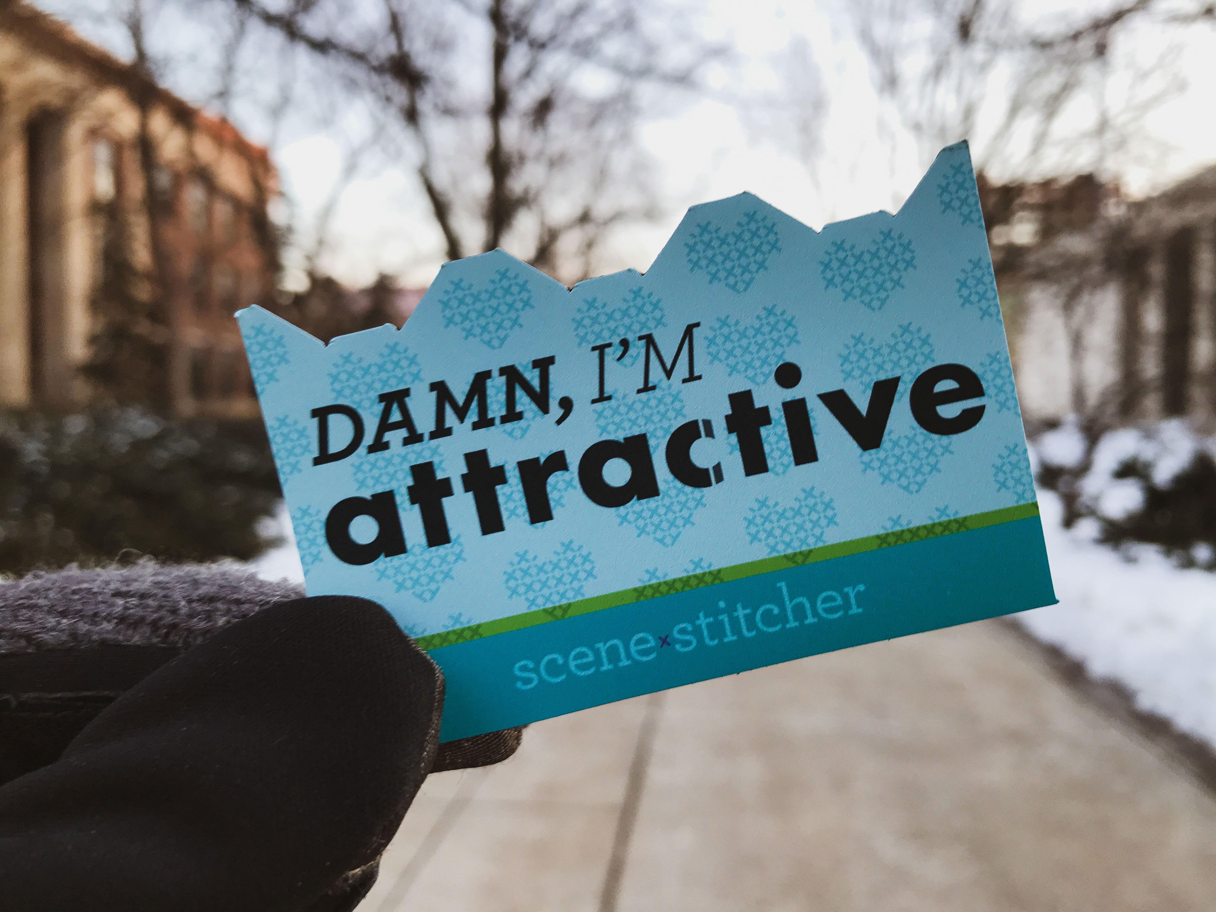 "Damn, I’m attractive" holographic sticker