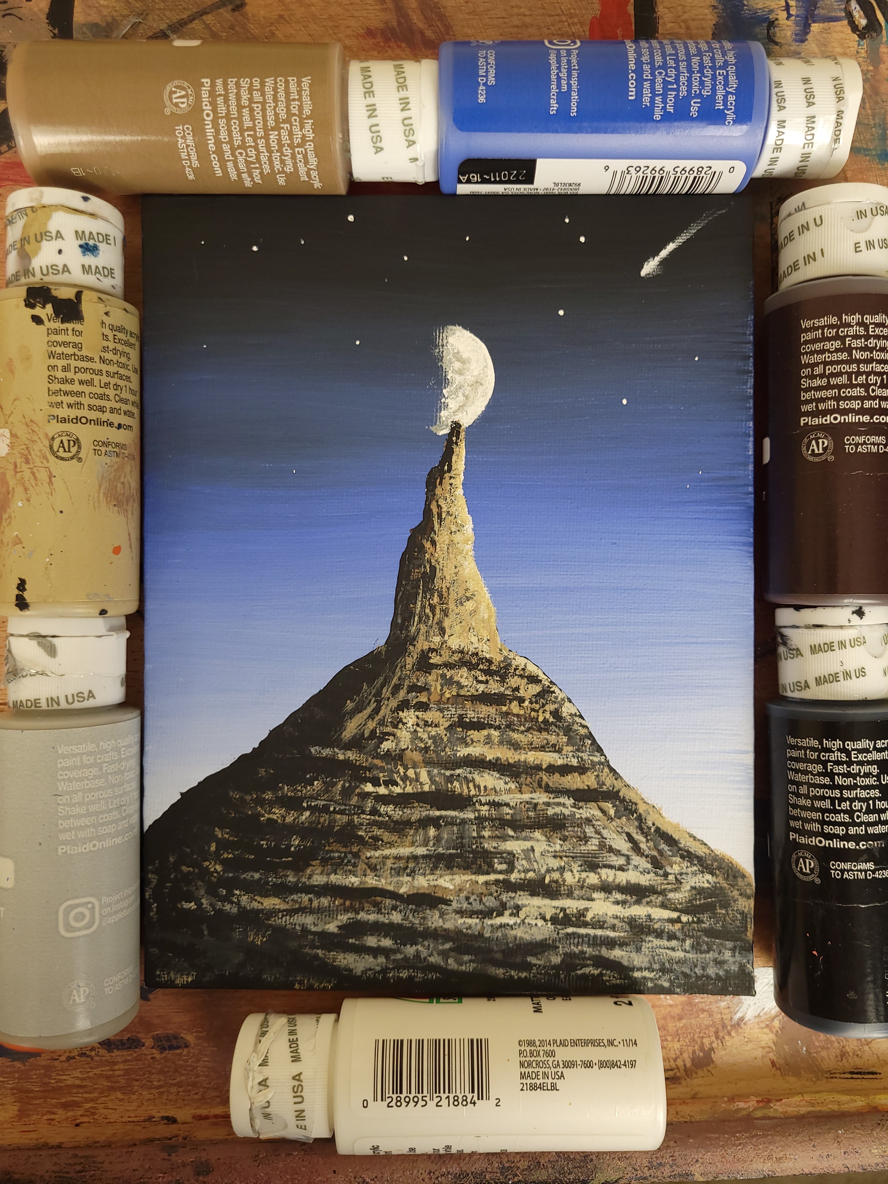 Acrylic paintings of various subjects