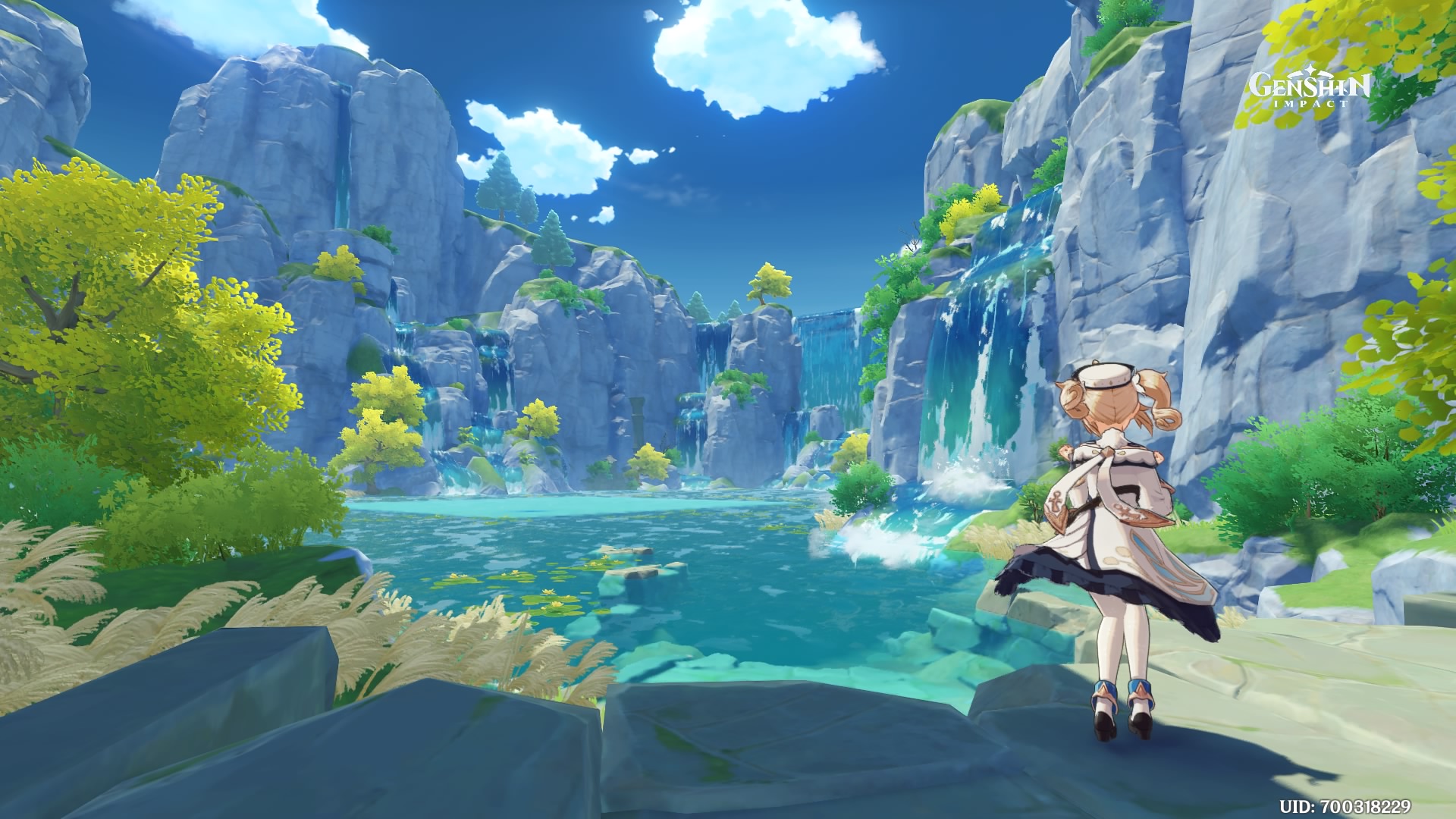 A screenshot of Barbara in front of a waterfall.