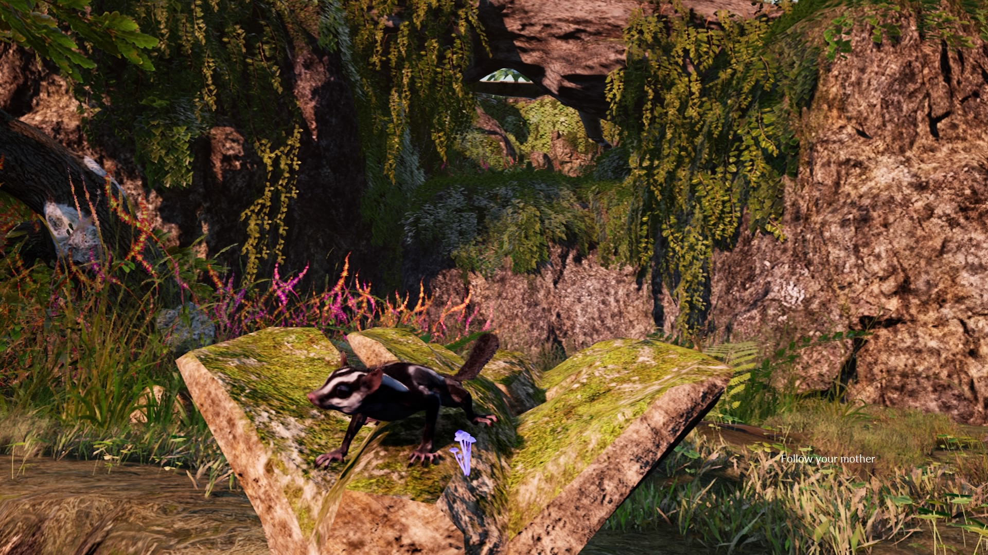 A close up screenshot of a sugar glider perched on a log.
