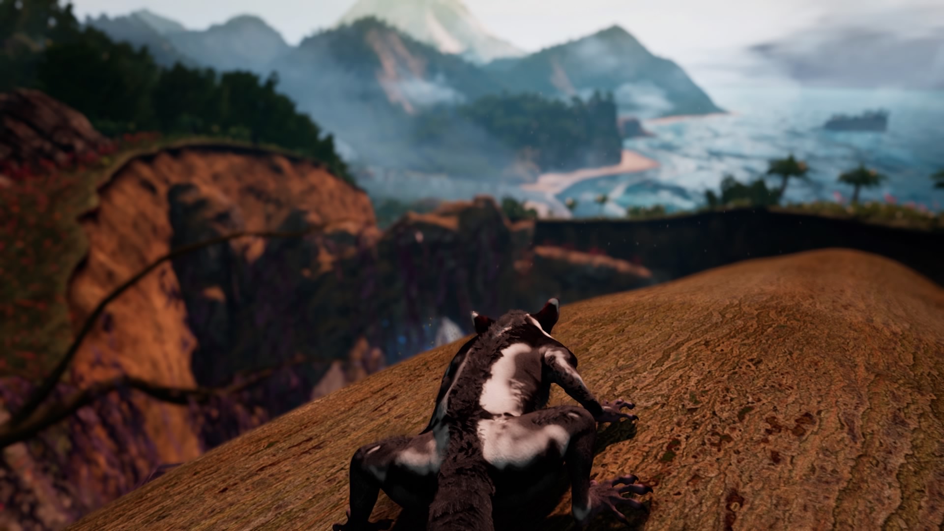 A shot of a sugarglider about to leap from a log, high in the mountains.