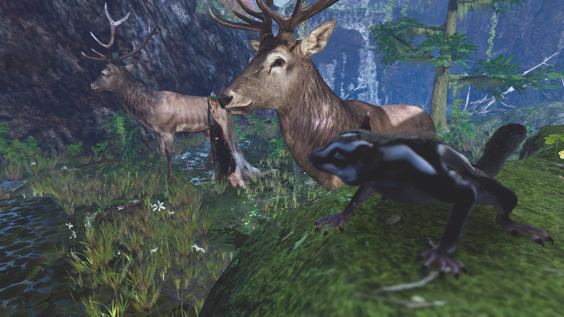 A screenshot of a sugarglider with two large stags in the background.