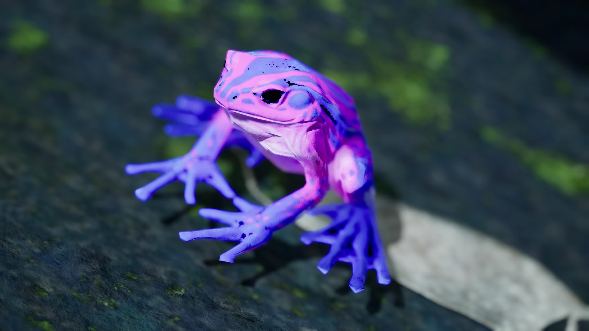 A close-up of a bright pink frog.