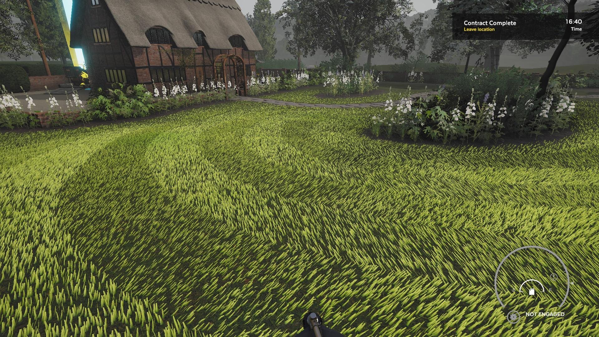 The garden & lawn of a beautiful old cottage.