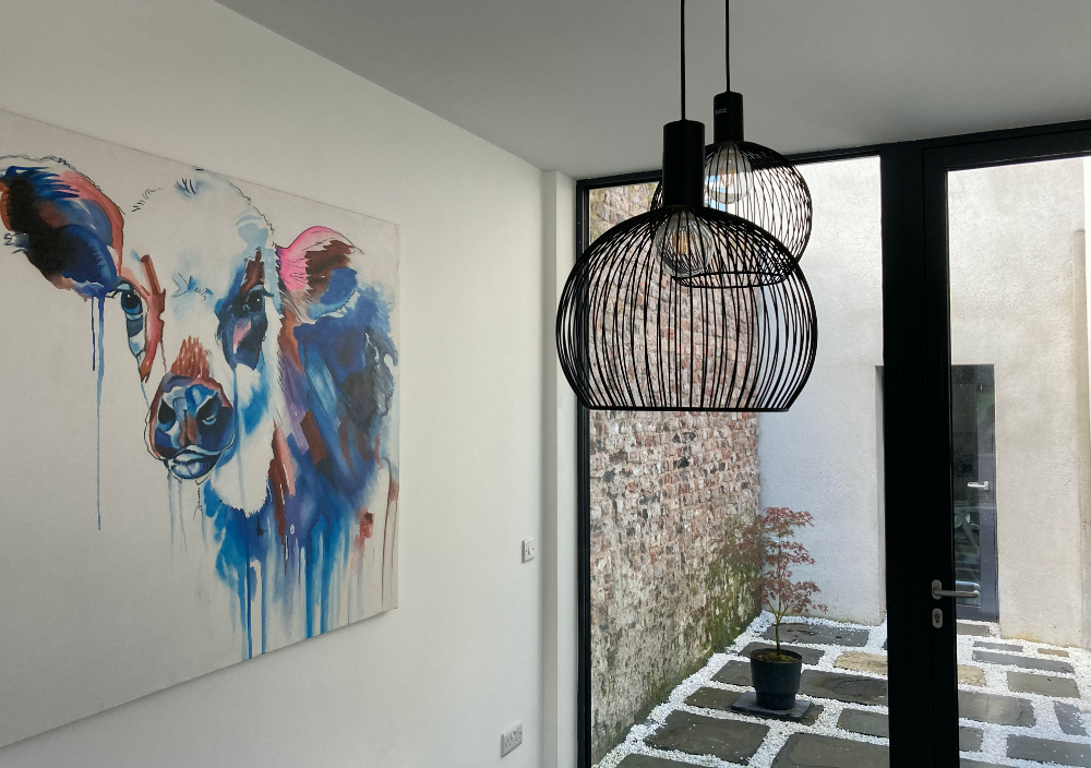the careful conservation of a protected structure complemented by a contemporary addition