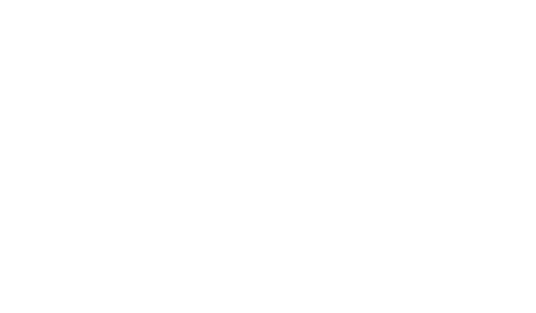 Livestreamr logo