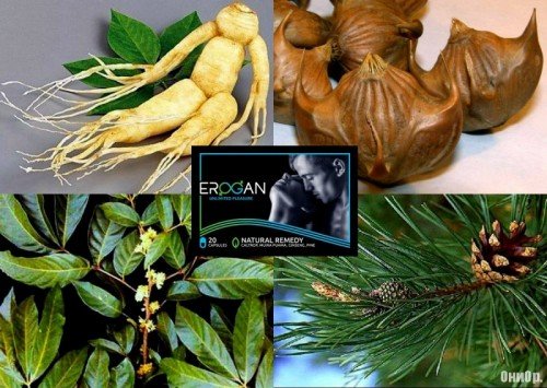 Jual Erogan Di palembang