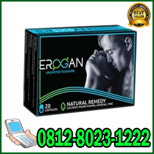 Jual Erogan Di Palembang