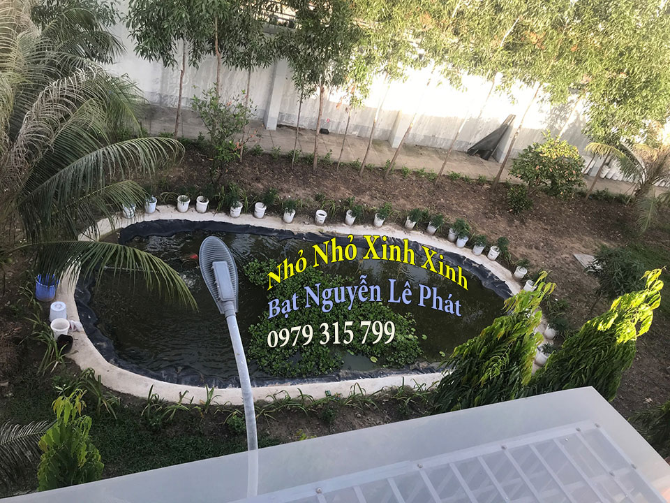 Bạt nhựa lót ao hồ nuôi cá tại Vũng Tàu