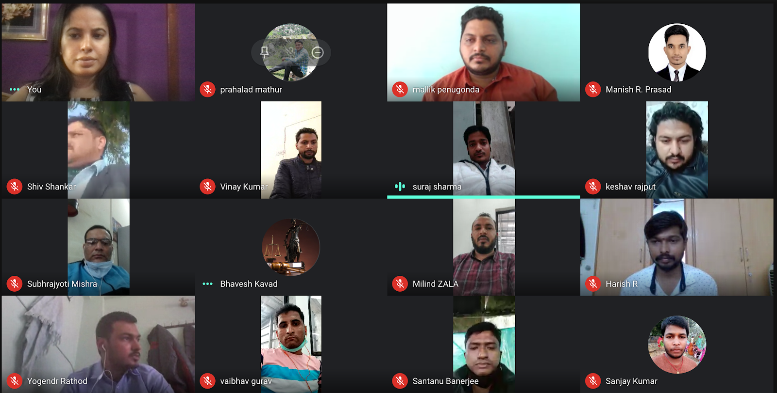 Online Team Meeting