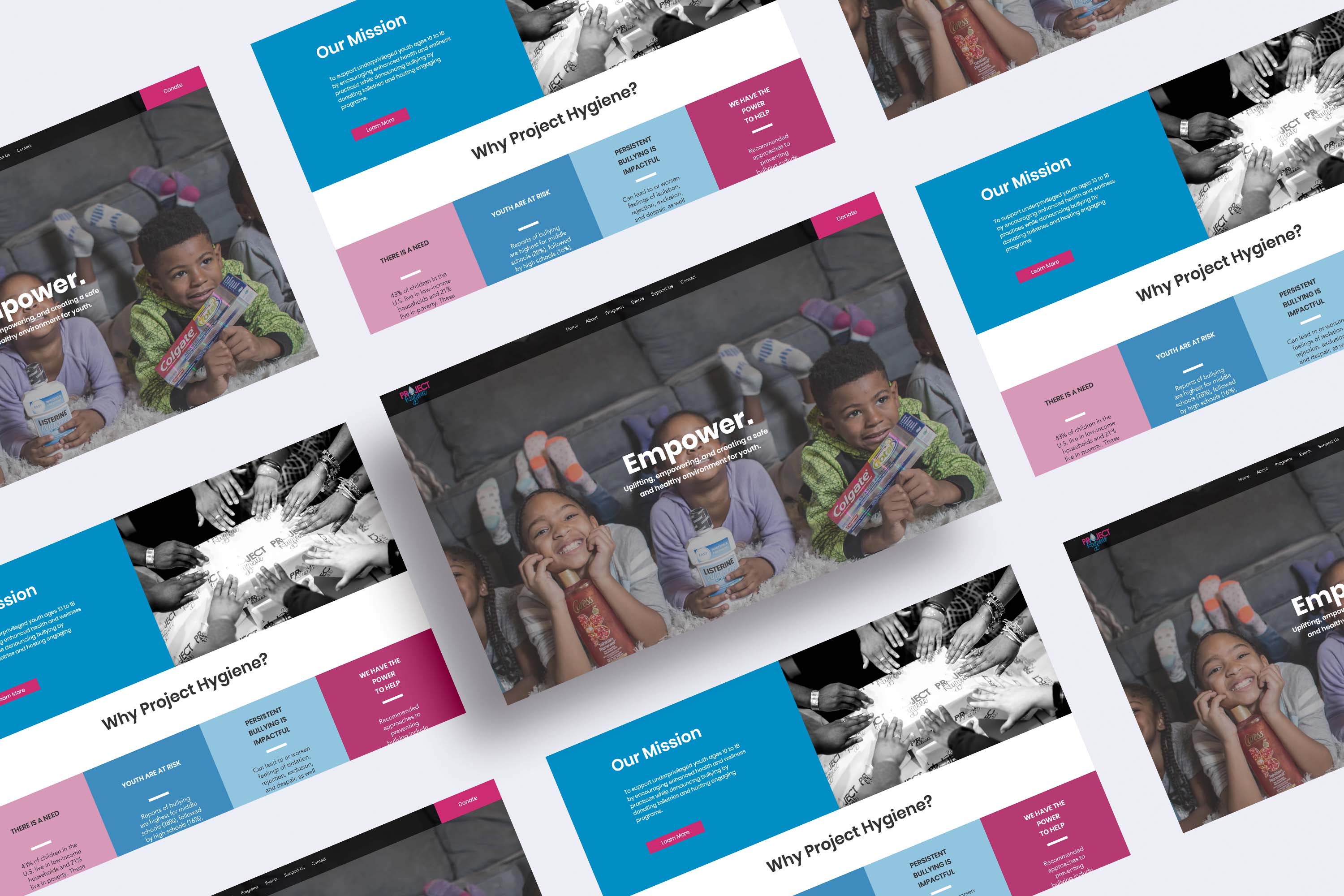 Images of Project Hygiene website