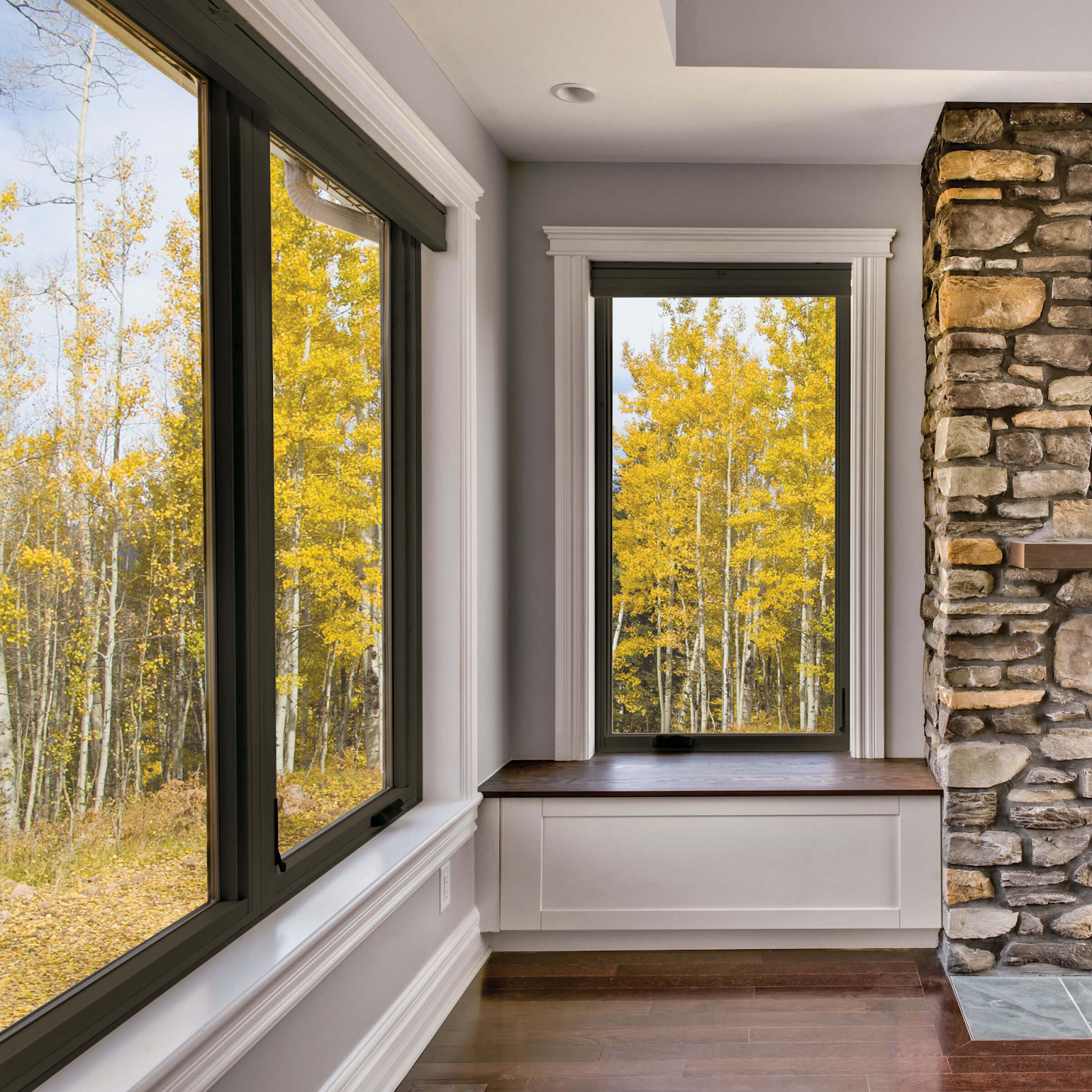 A window with a stunning view of a wooded area filled with colorful fall foliage.