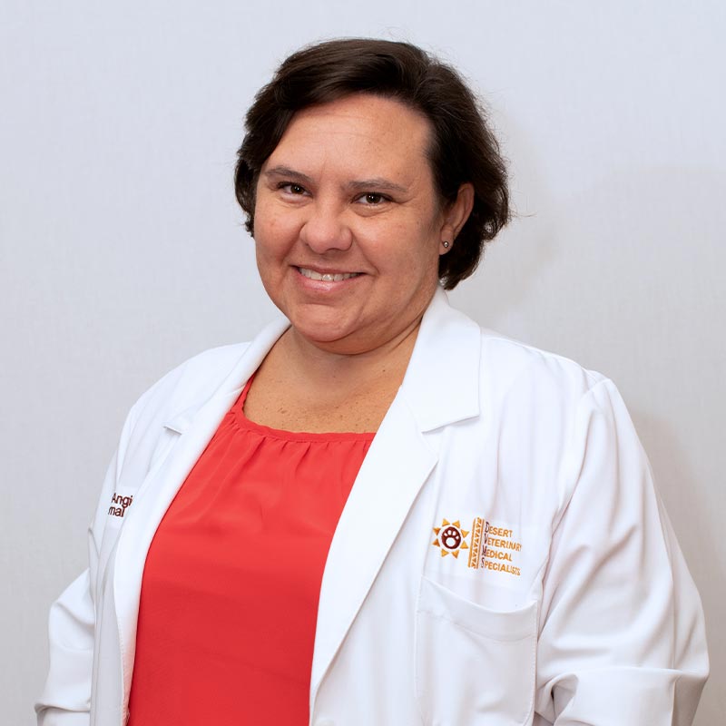 Dr. Angie Mexas