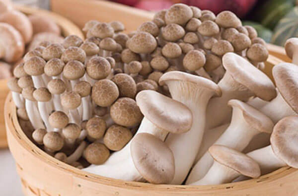 Các loại nấm gây suy giảm ham muốn