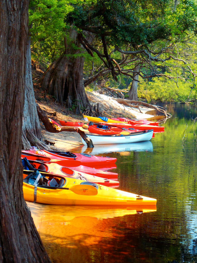 Explore beautiful and remote places only be discovered by kayak.