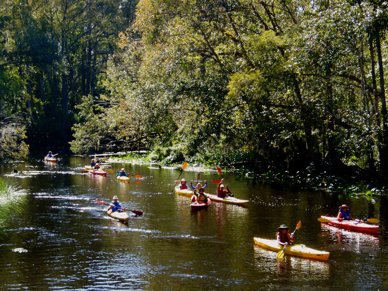 Having fun kayaking along the Ocklawaha.