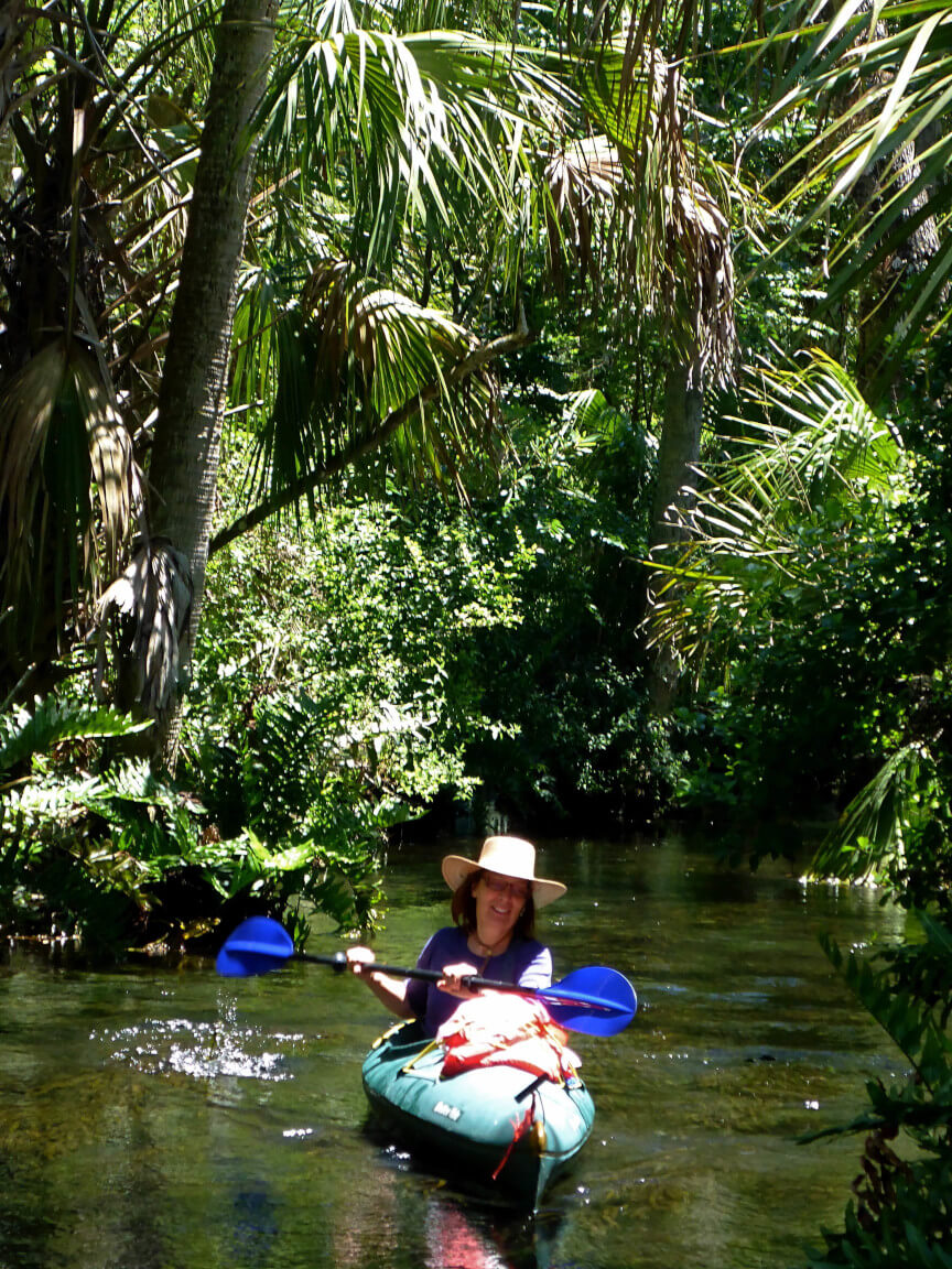 Paddle through arrow canals surrounded by Floridian fauna.