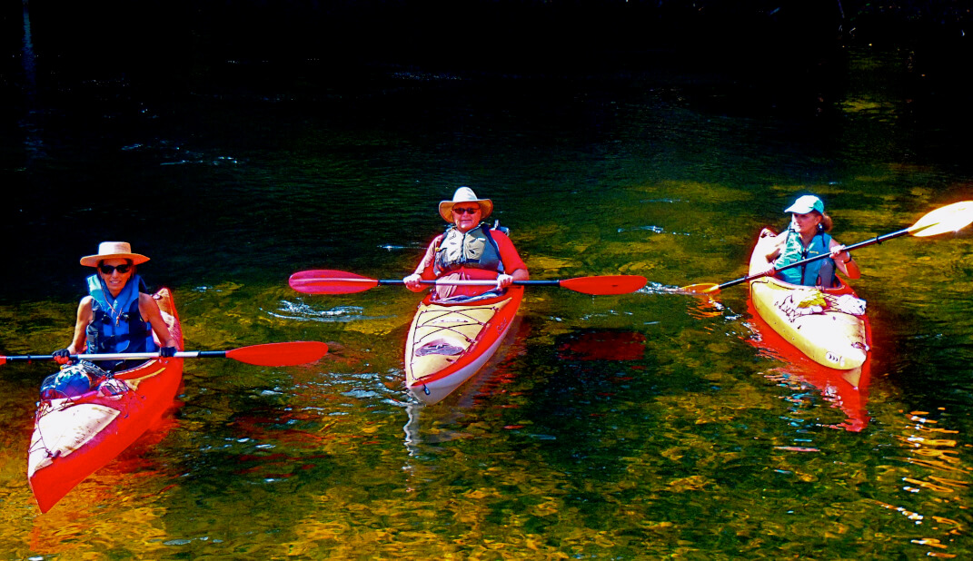 The Wekiva River is spring fed and thus the water is clear.