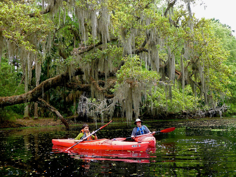 The Spanish moss hanging off the trees create a mysterious look and feel.