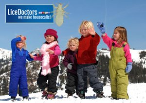 Michigan's Cold Weather Doesn't Discourage Head Lice