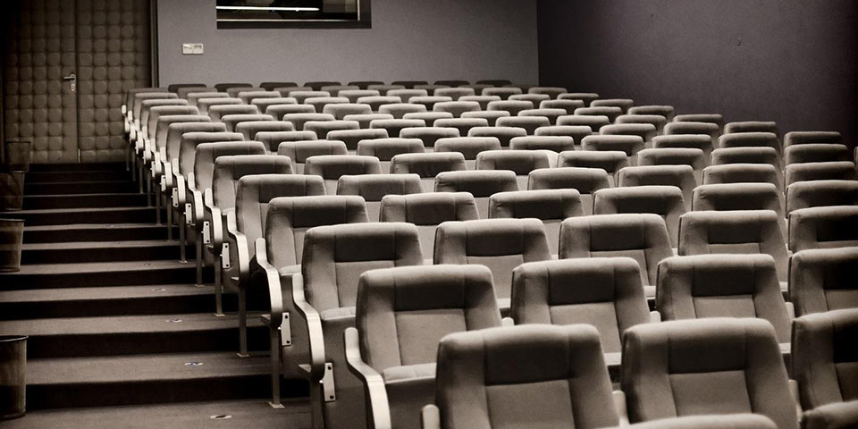 lice at from movies on movie theater seat
