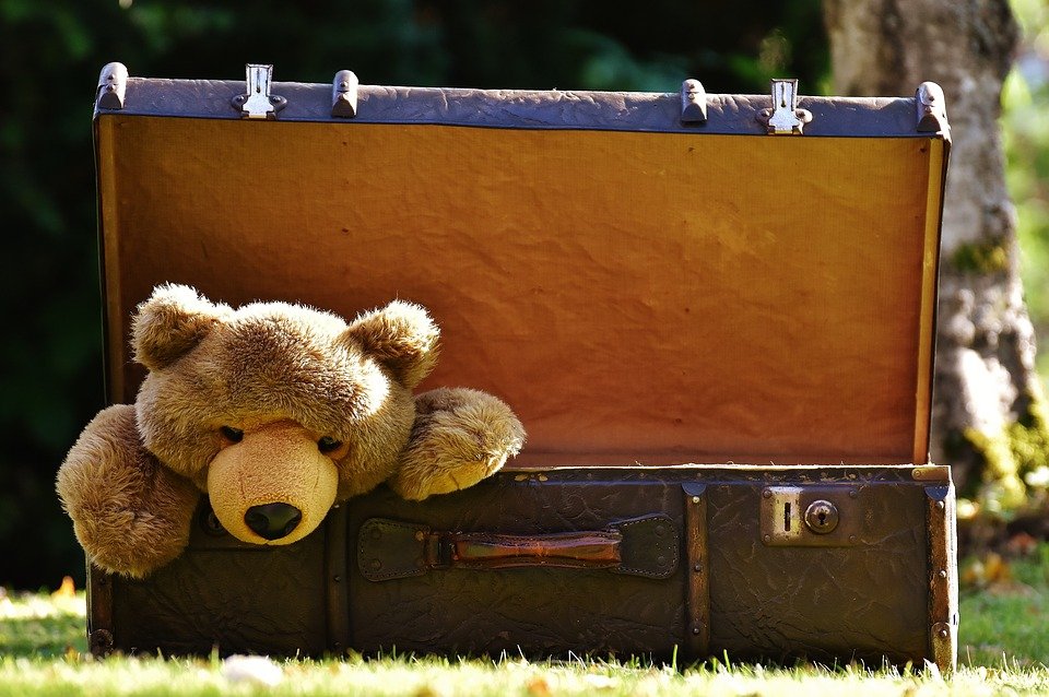 Teddy bear stuffed animal plush peeking out of suitcase like quarantine