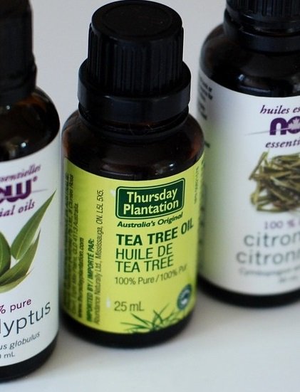 essential oils including eucalyptus tea tree citronella.