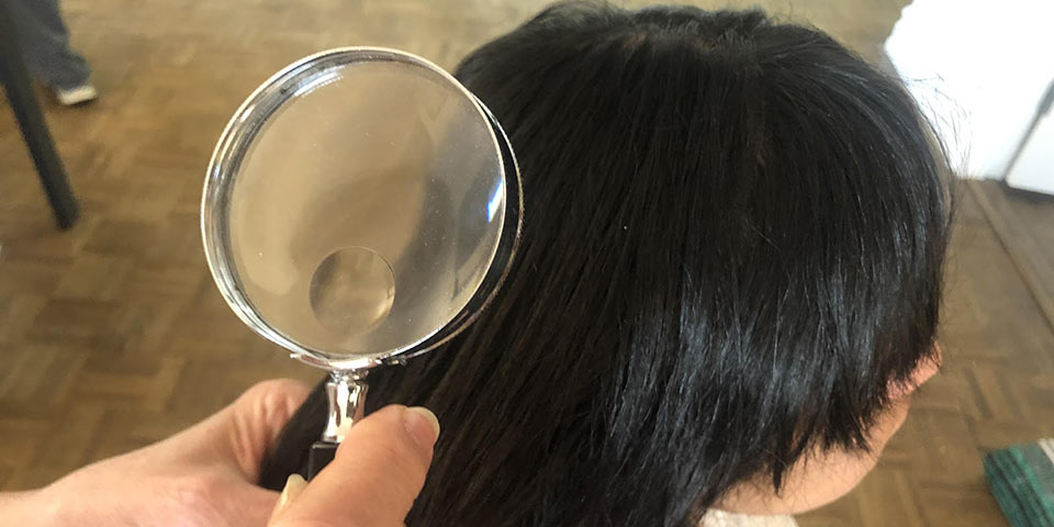 orem hire professional head lice treatment cost effective