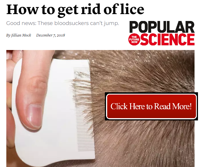Popular Science article interviewing LiceDoctors owner Karen Sokoloff, image of lice comb and very short hair