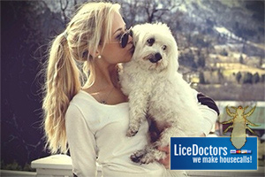 Woman with dog - LiceDoctors