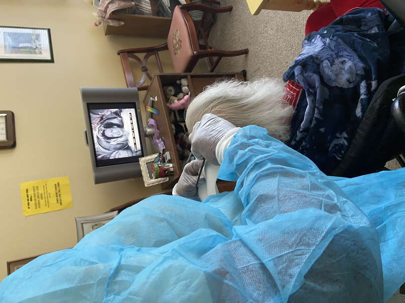 Lice Treatment in Northern VA