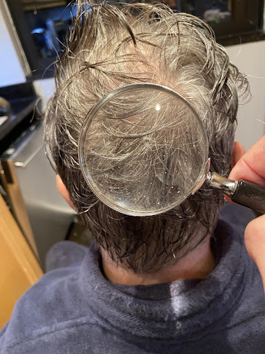 Tucker Lice Removal