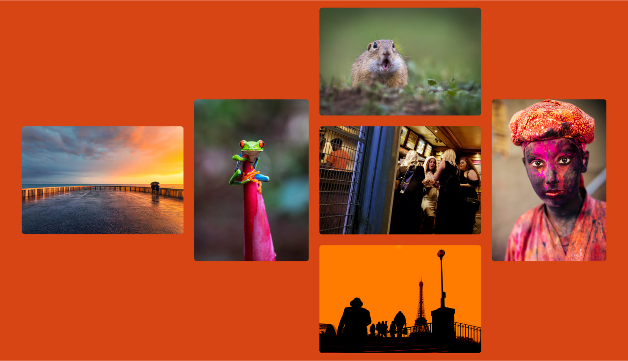Montage of images where the subject is not placed in the middle of the frame