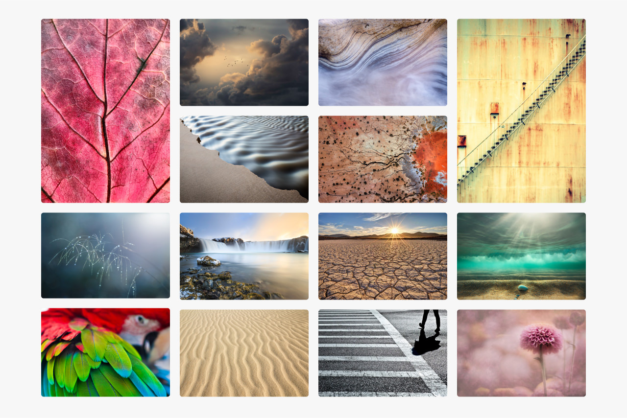 Montage of images that feature an element of texture
