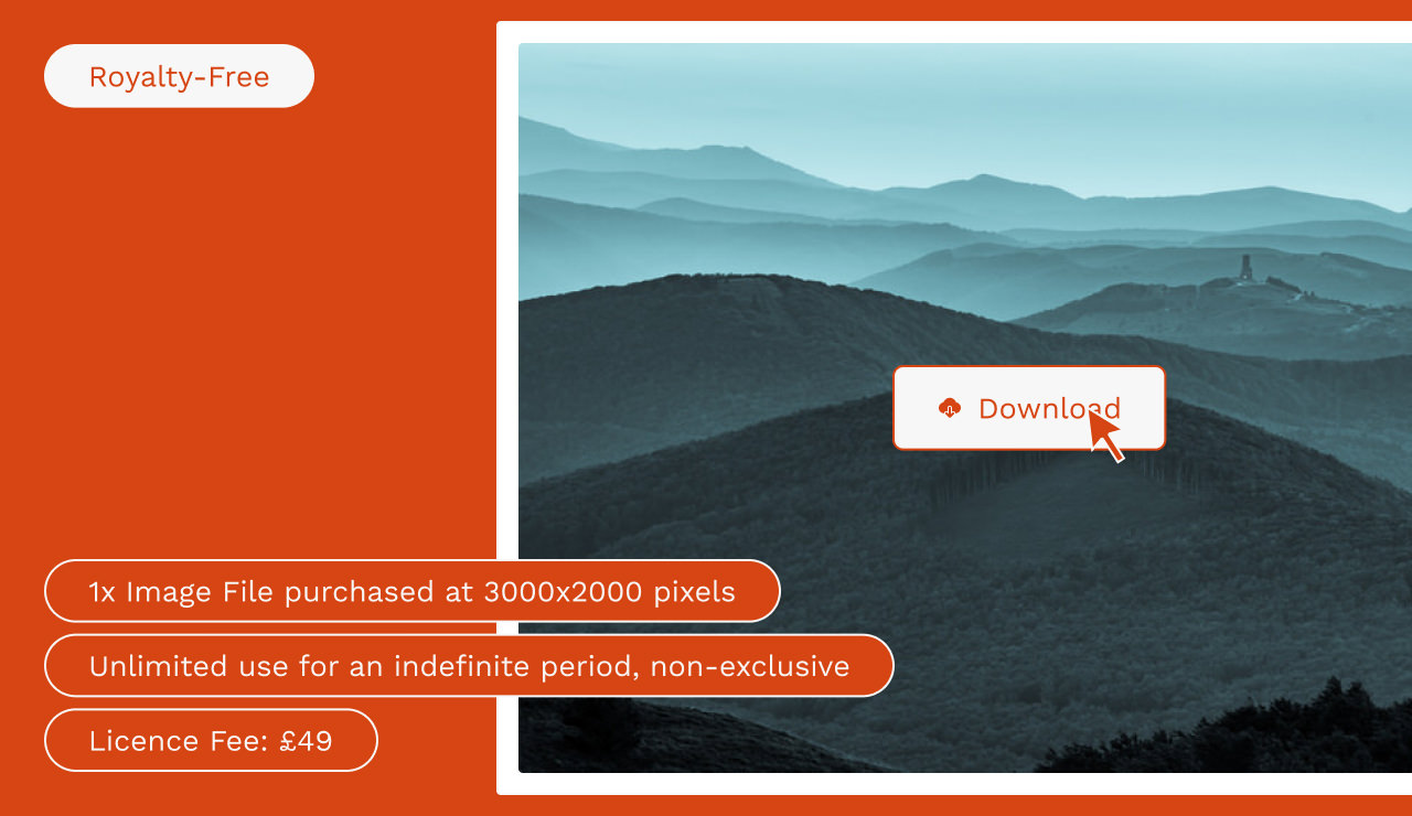 Mockup of a royalty free image being downloaded from a stock image website