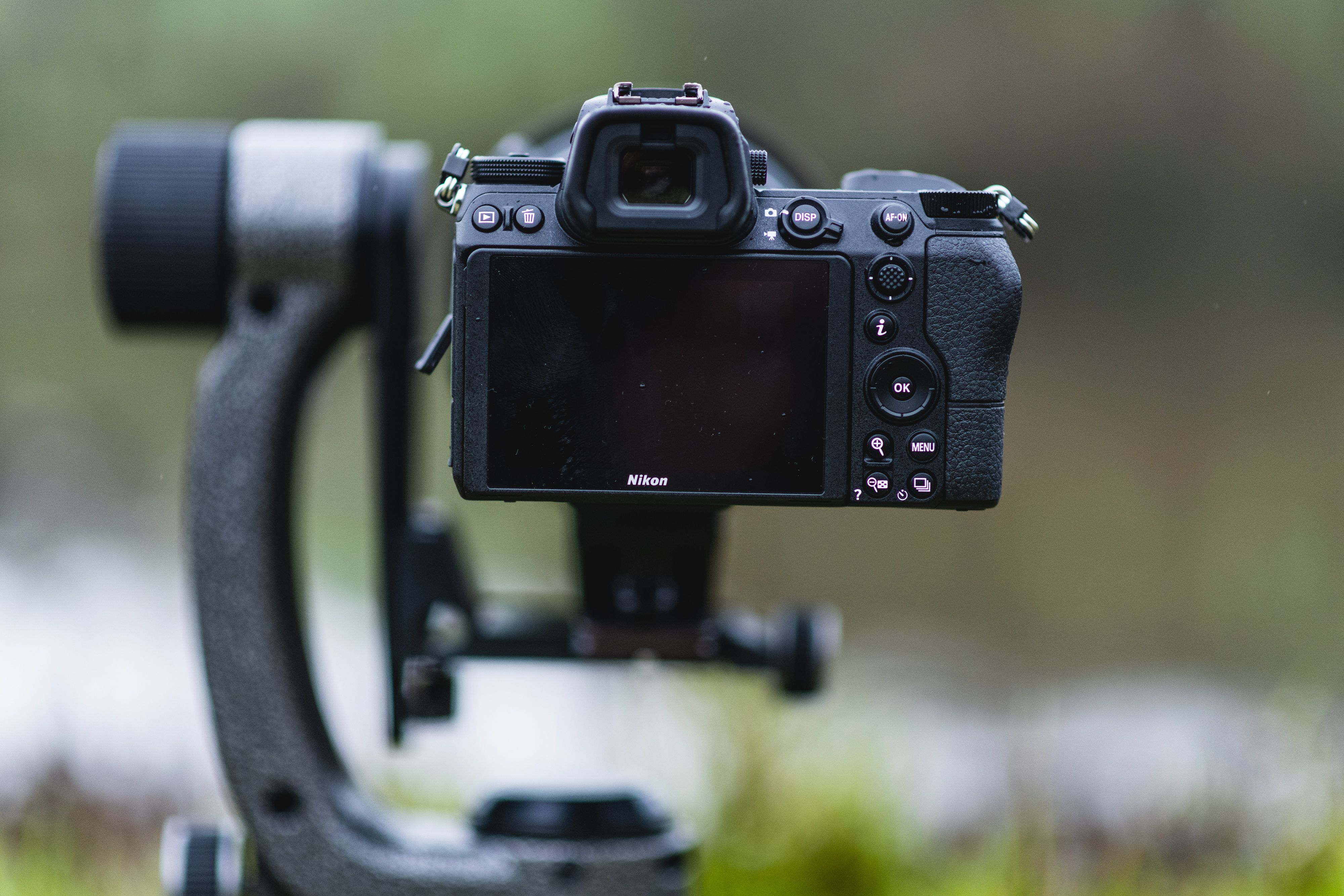 Camera mountain to a tripod for wildlife photography