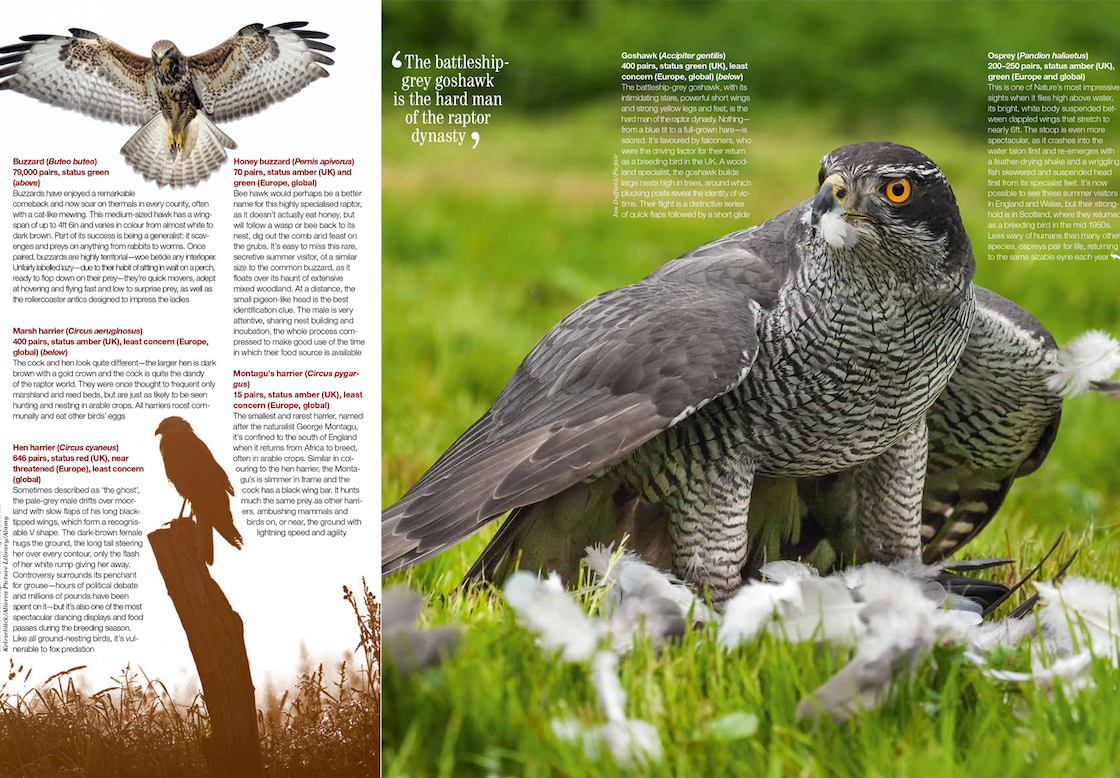 Double-page nature spread in a magazine