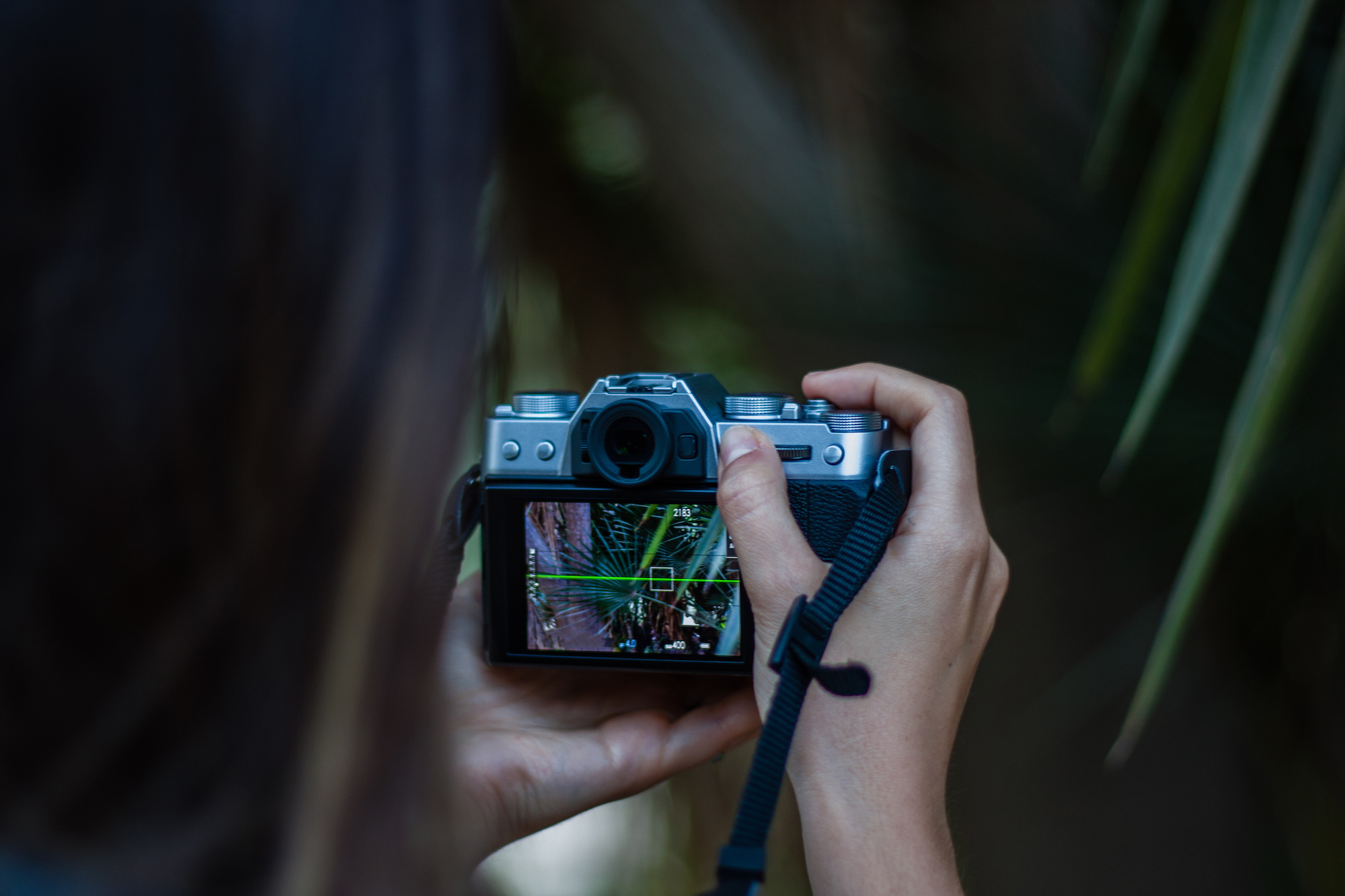 Taking a photo with a mirrorless camera
